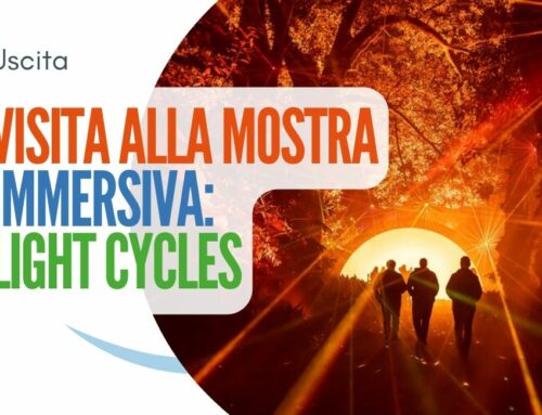 1/2 Mostra Light Cycles